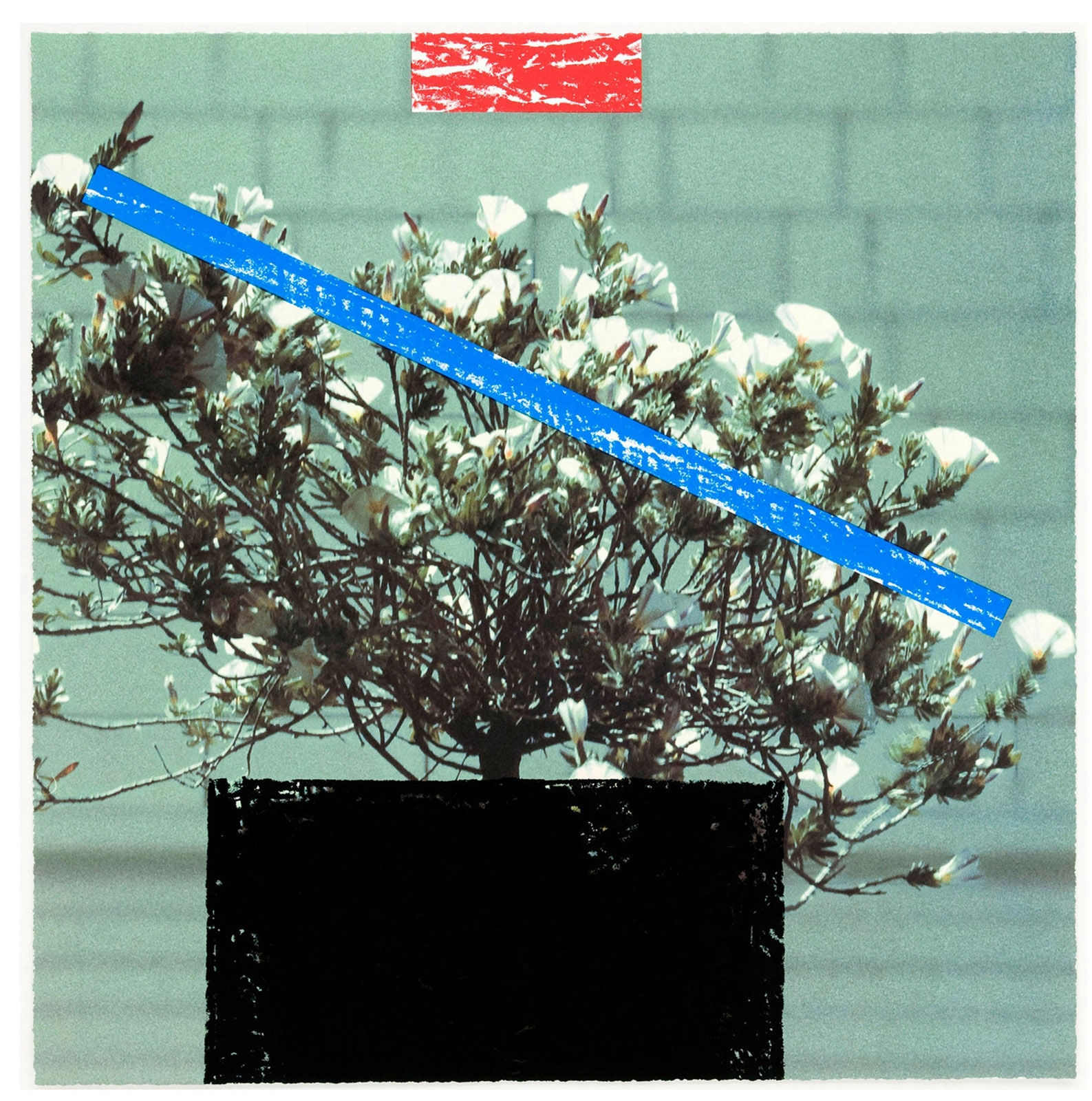 John Baldessari 2326 Third Street, Santa Monica Lithographie couleur avec impression sérigraphique 69,6 x 69,6 cm Dim. papier: 69,6 x 69,6 cm