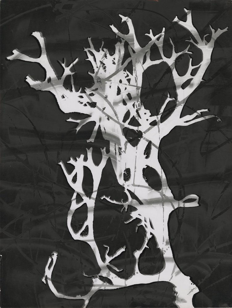 Roger Catherineau, Photogramme, c. 1954-1955