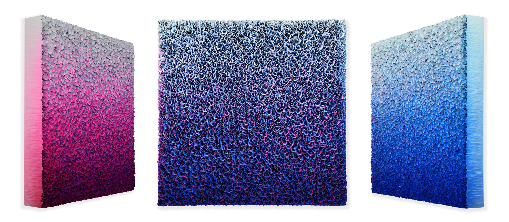 Zhuang Hong Yi, Violet Reverie, 2024