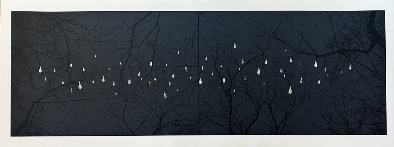 Marie Navarre, from the interior, 2025