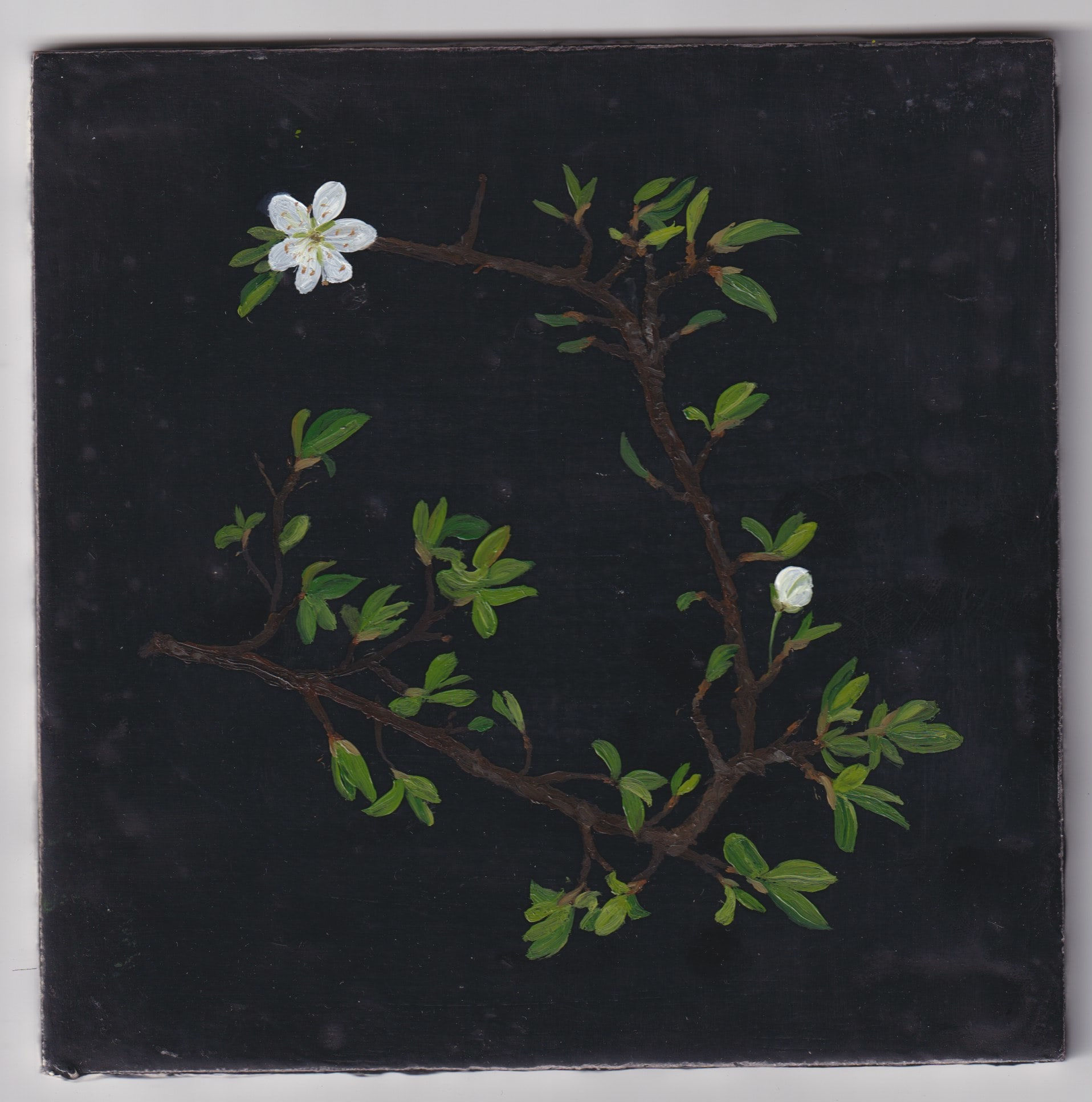 Melanie Miller, Hawblossom II, 2022