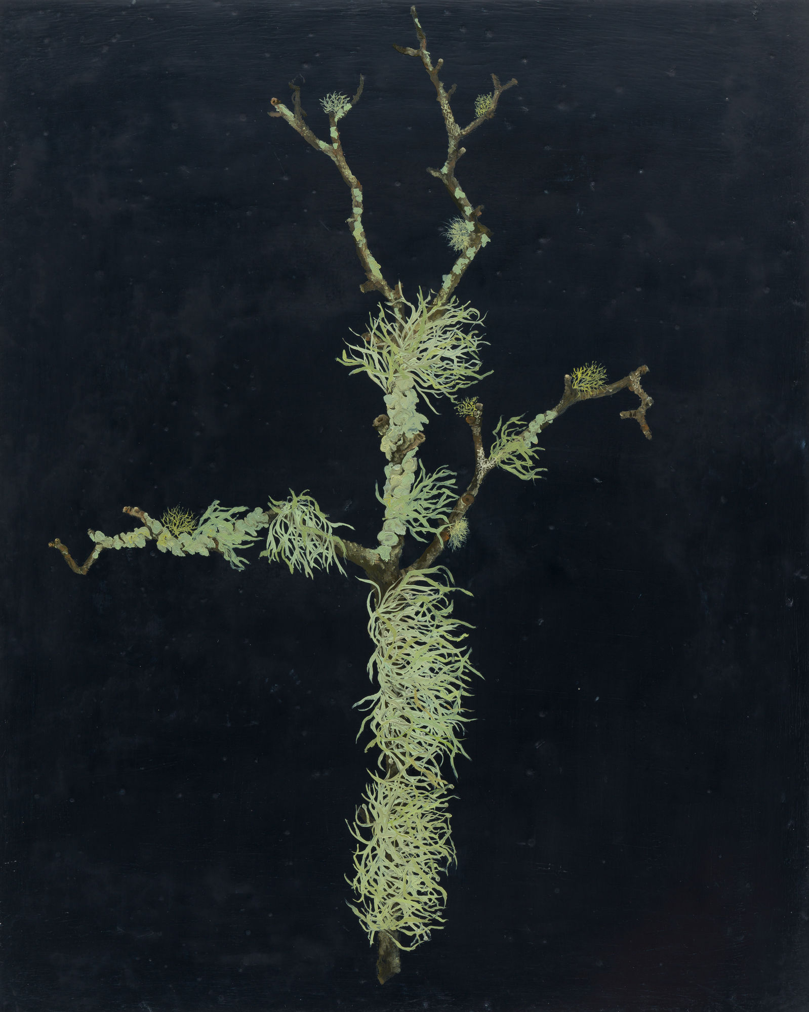 Melanie Miller, Horned Sprite, 2023