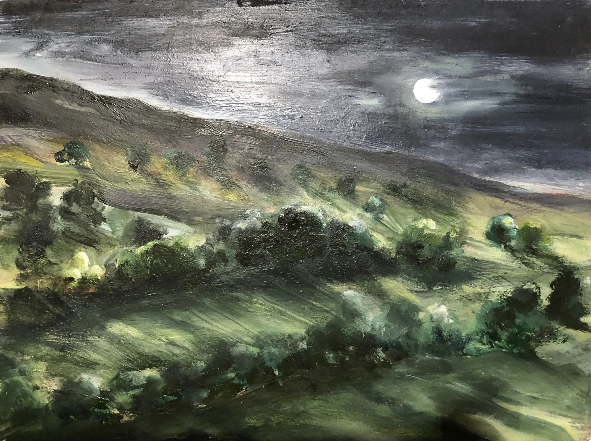 Jane MacEwen, Moonlight on Partrishow Hill , 2020