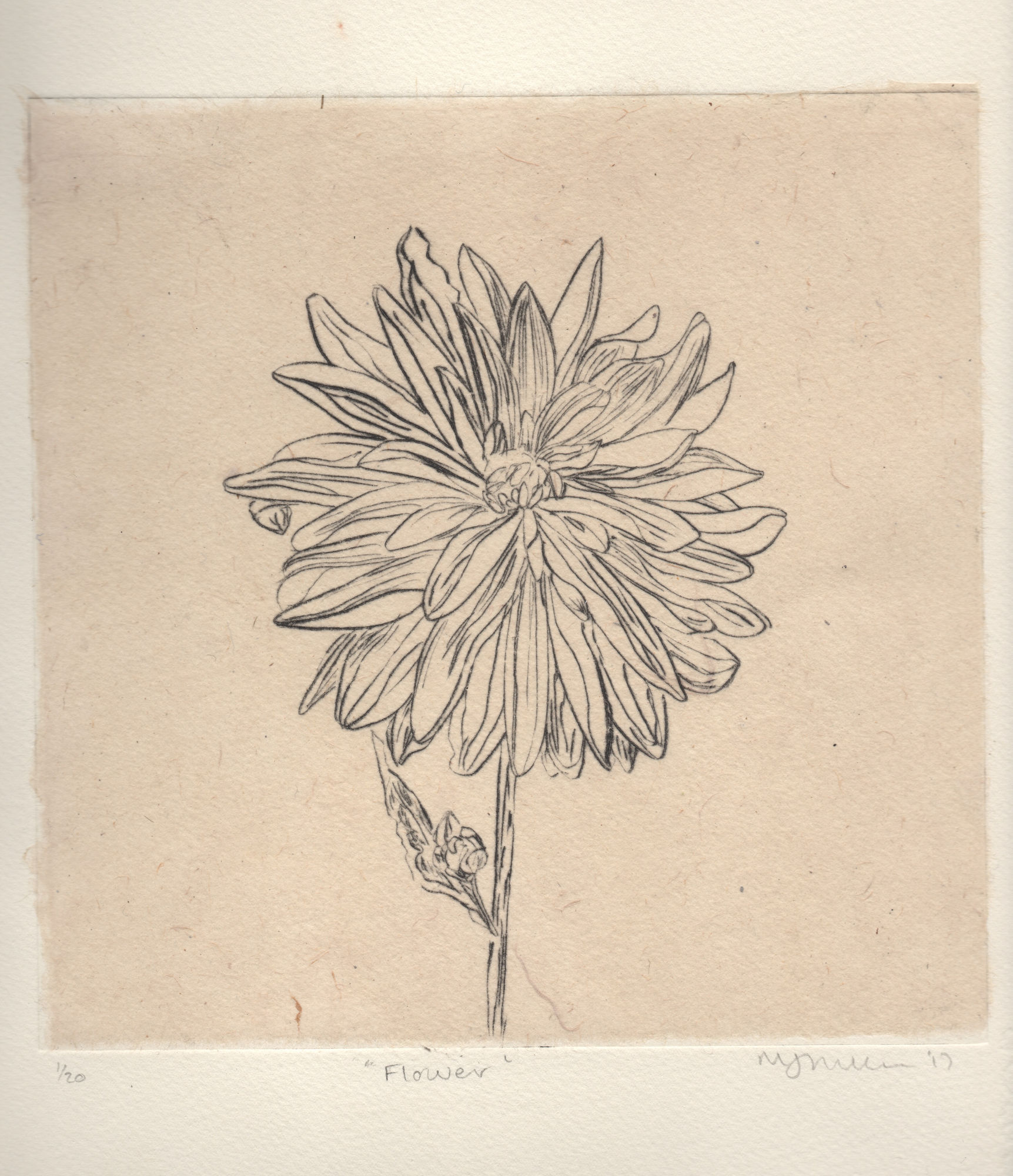 Melanie Miller, Flower, 2017