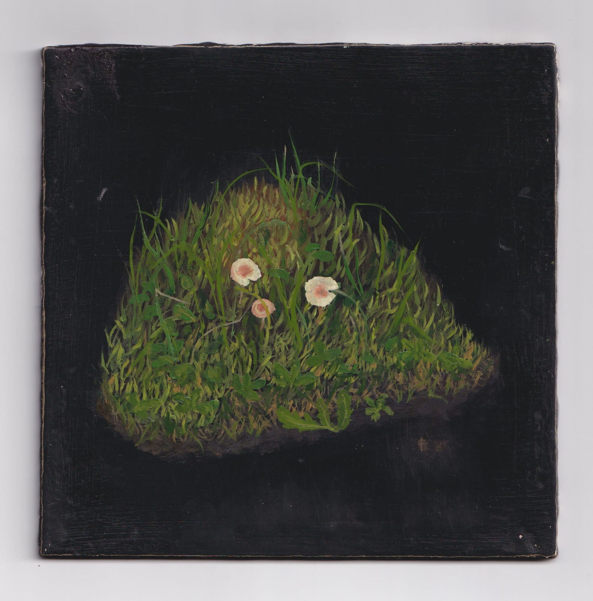 Melanie Miller, Understory-Trio, 2023