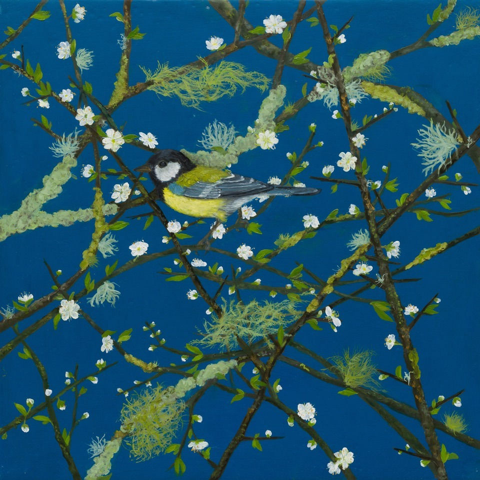 Melanie Miller, Great Tit, 2023