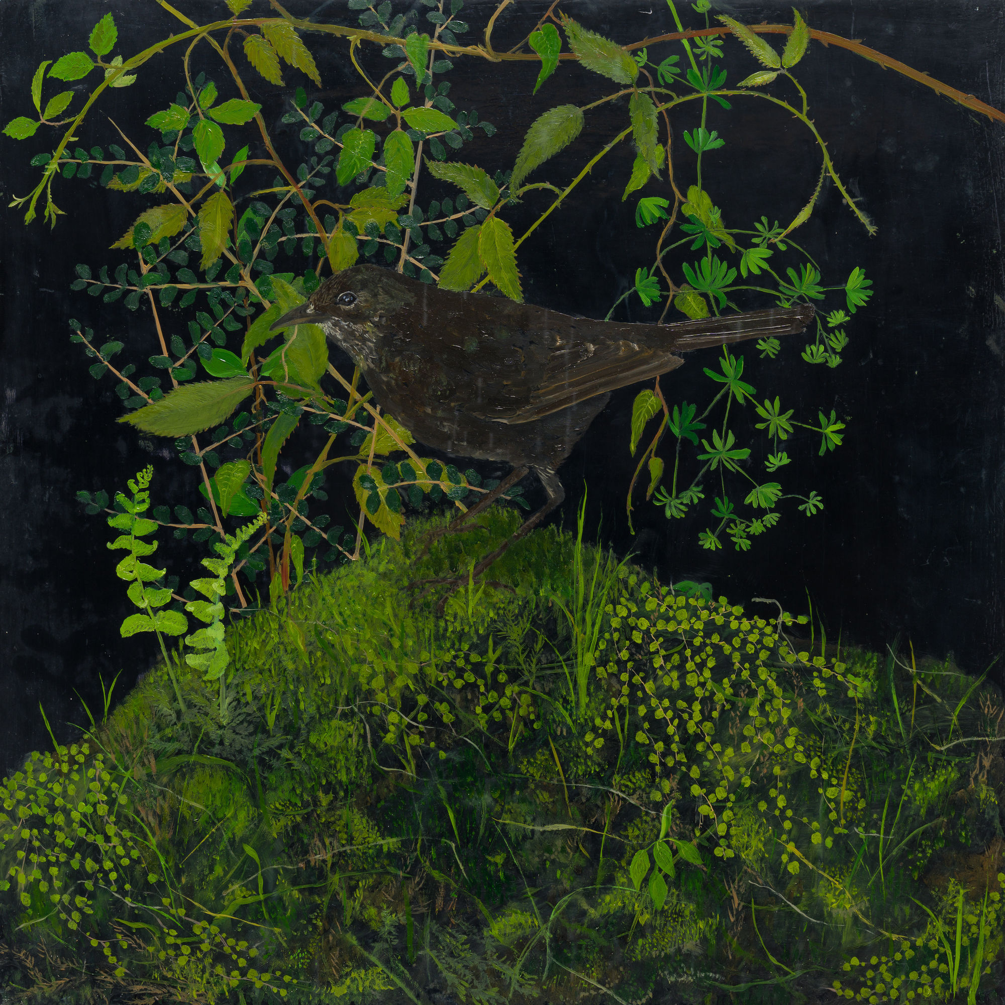 Melanie Miller, Blackbird, 2023