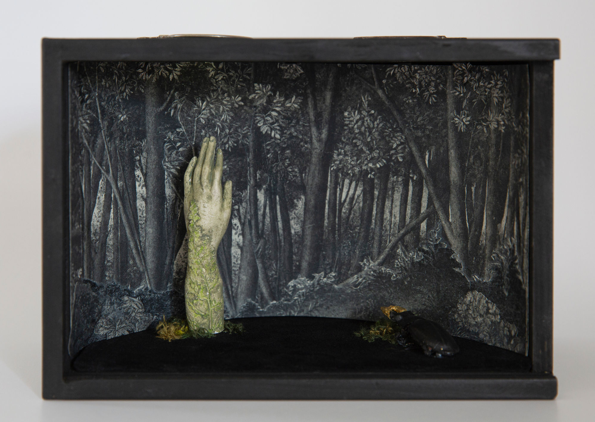 Melanie Miller, Understory- Sylvan, 2023