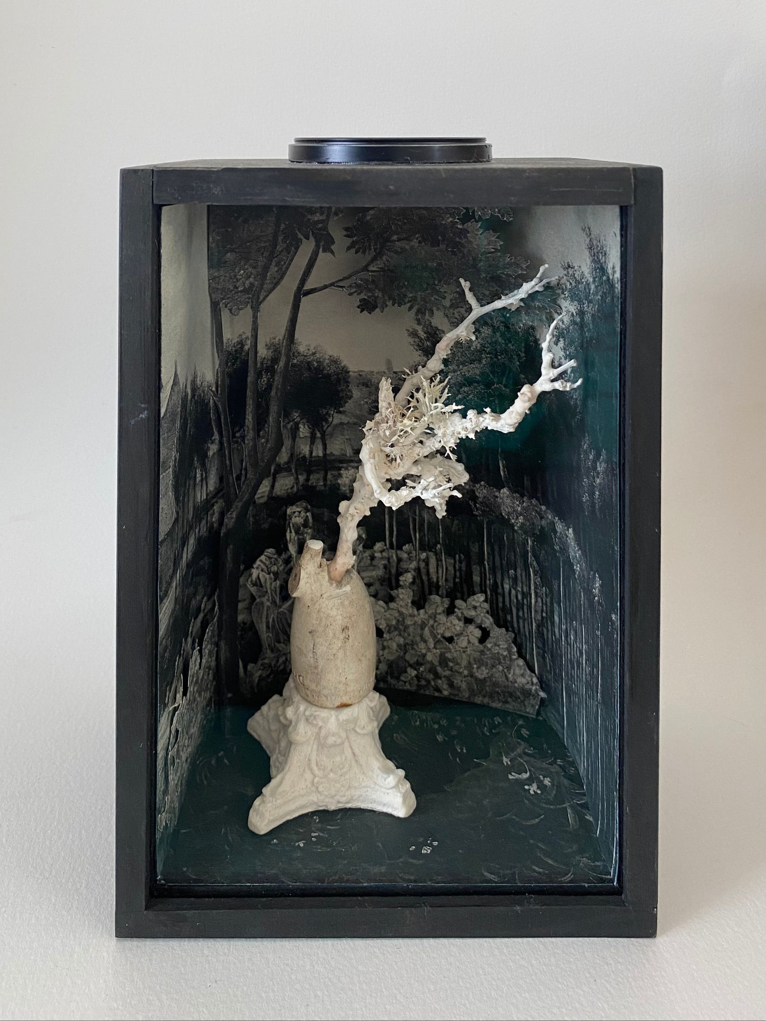 Melanie Miller, Ghost Forest, 2023