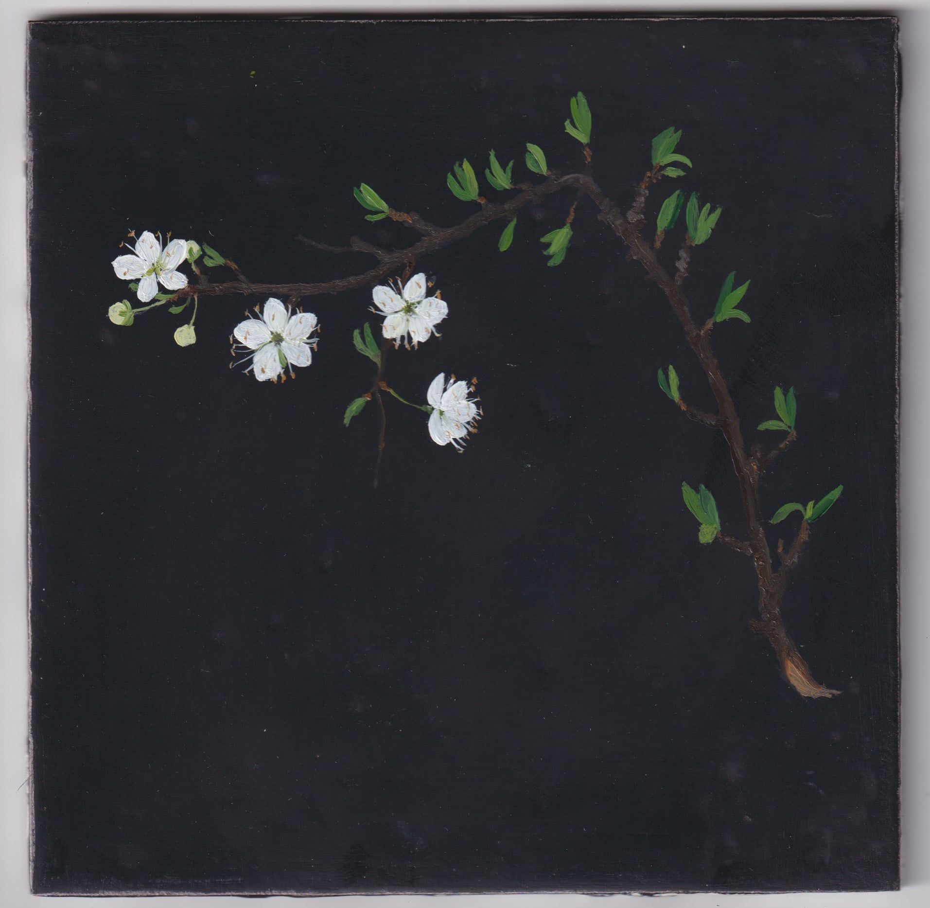 Melanie Miller, Hawblossom III, 2022