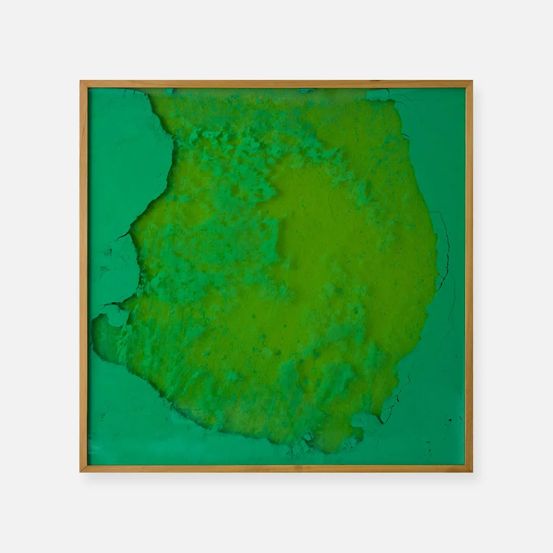 Manuel Mérida, Monochrome Vert N2, 2000