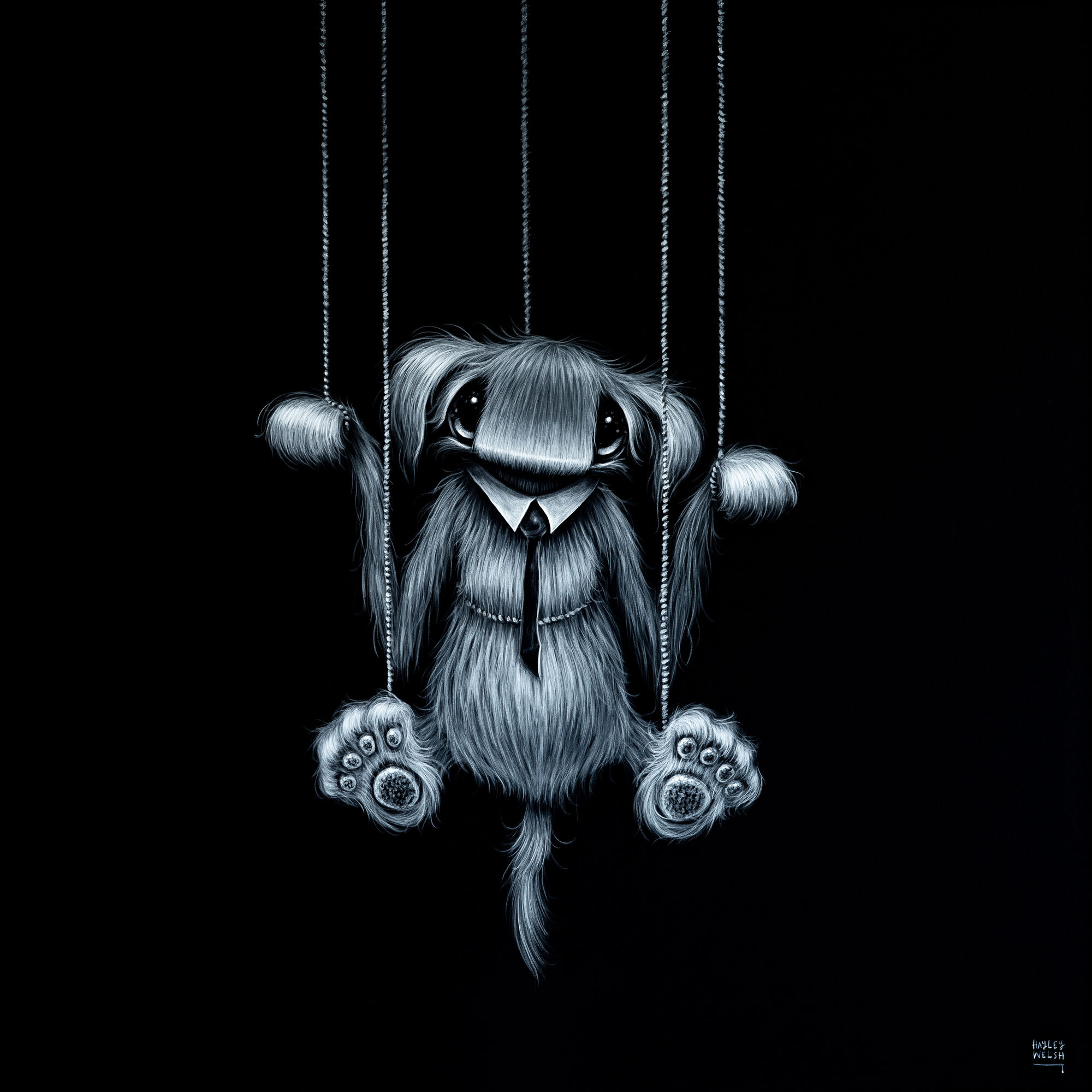 Hayley Welsh, Own Your Strings