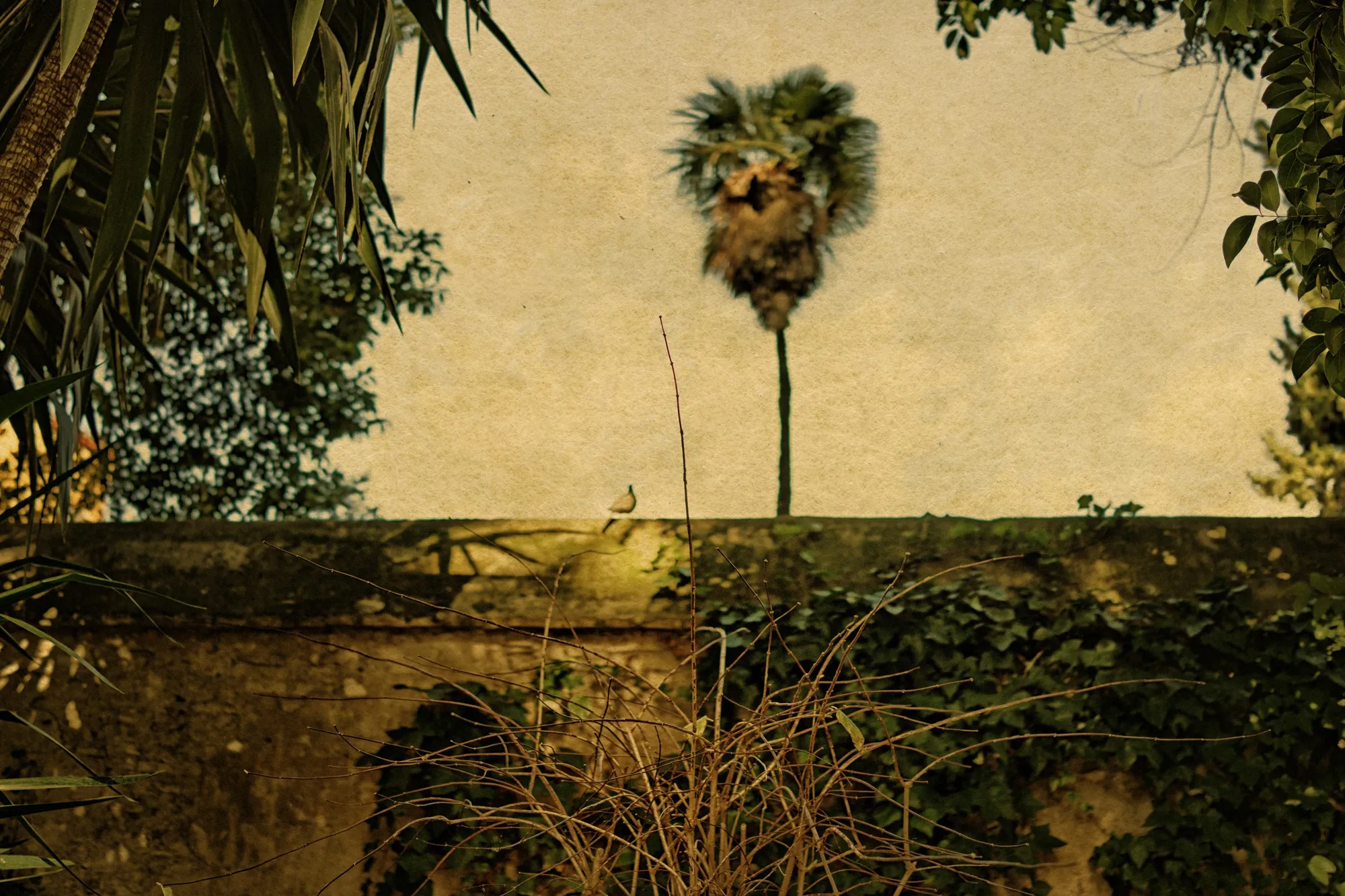 Albarrán Cabrera, The Mouth of Krishna #159, 2013