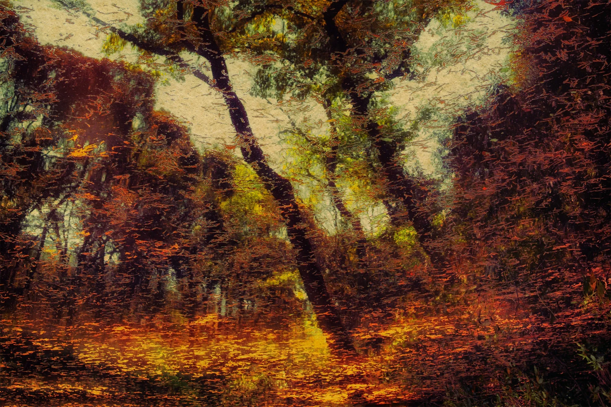 Albarrán Cabrera, The Mouth of Krishna, #194, 2013