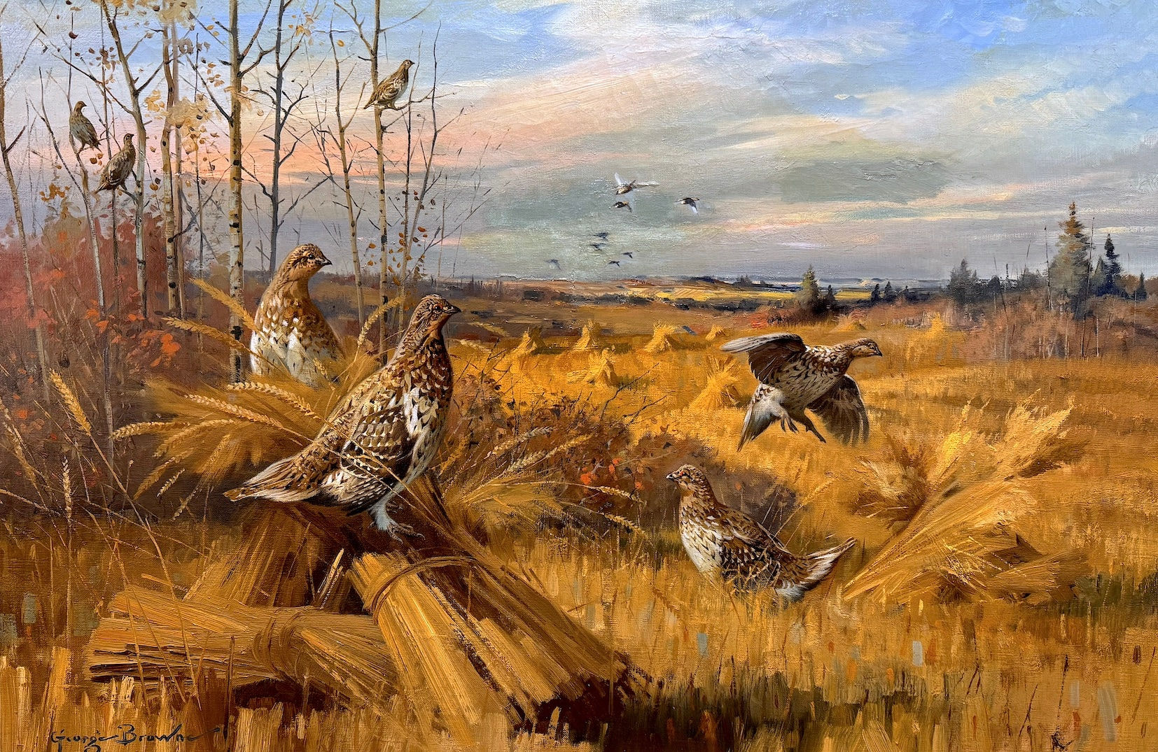 George Browne, Sharptails on the Arthabaska