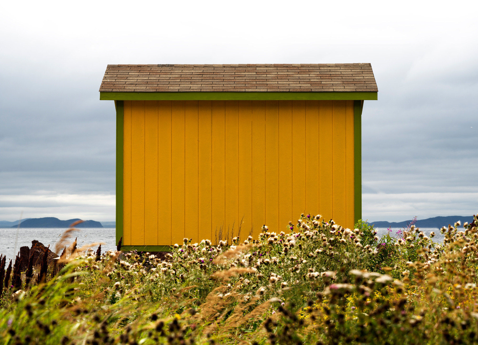 Ned Pratt, Yellow Room at Red Cove, 2023
