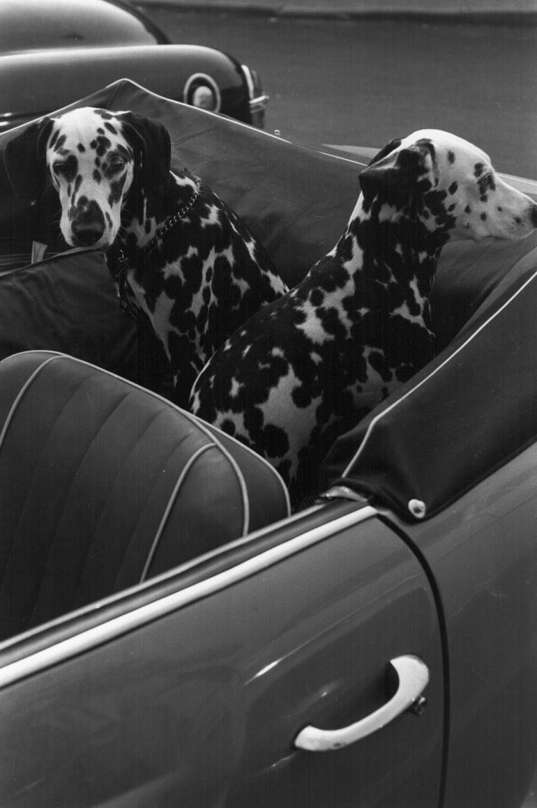 Louis Stettner, Fifties Graffiti, 1954