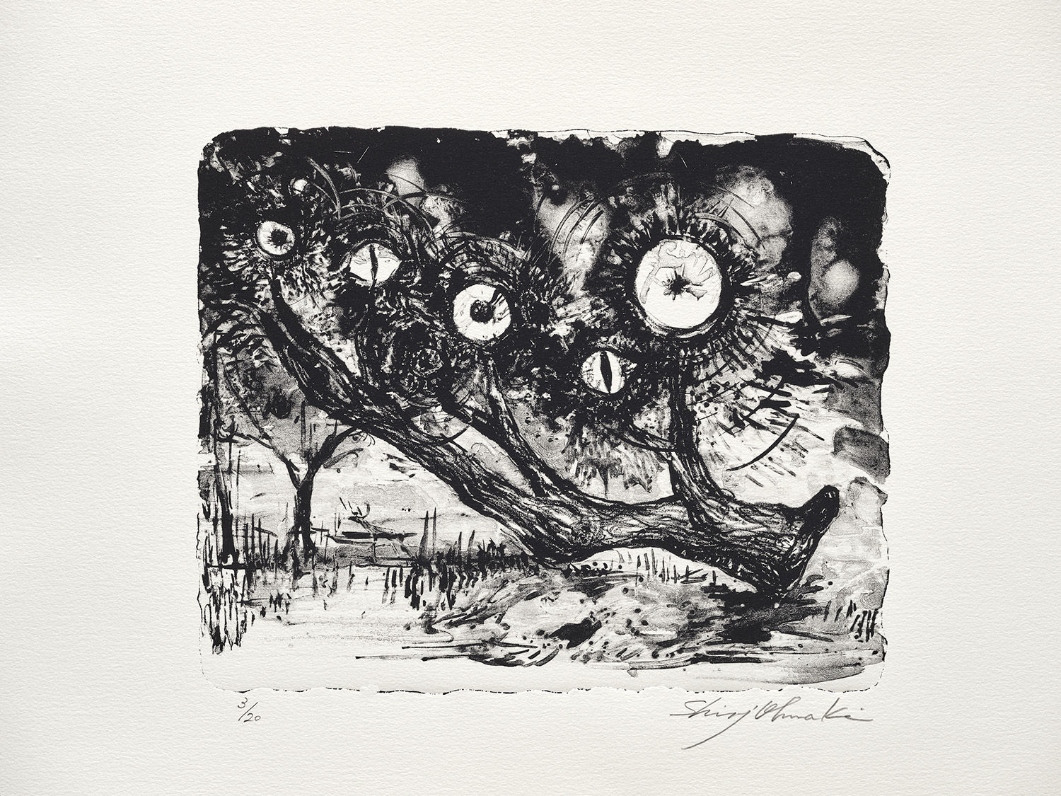 大卷伸嗣, 《森之凝視 #1》Gaze of the Forest, Château de Chambord #1 , 2017