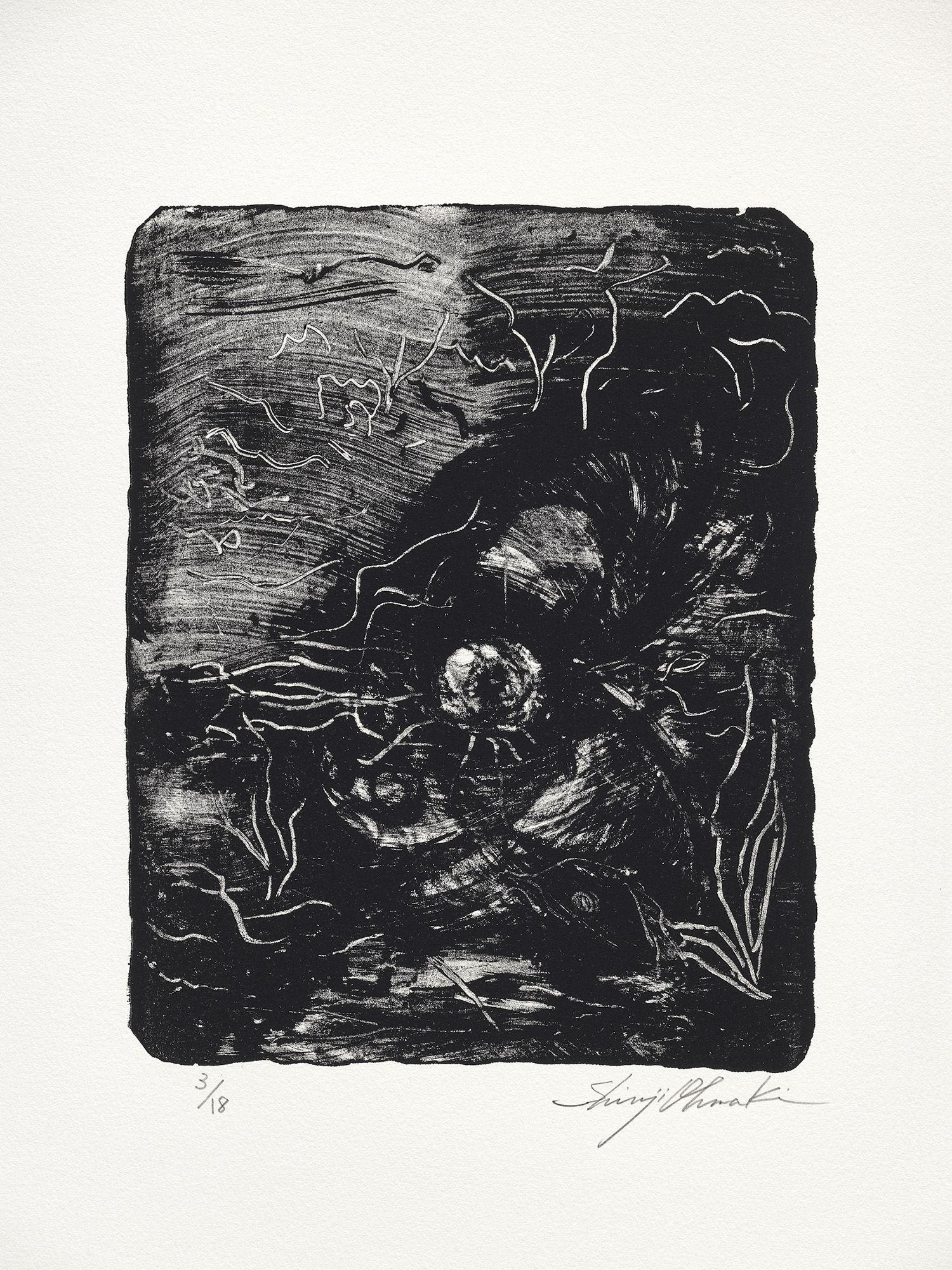 大卷伸嗣, 《森之凝視#2》 Gaze of the Forest, Château de Chambord #2, 2018