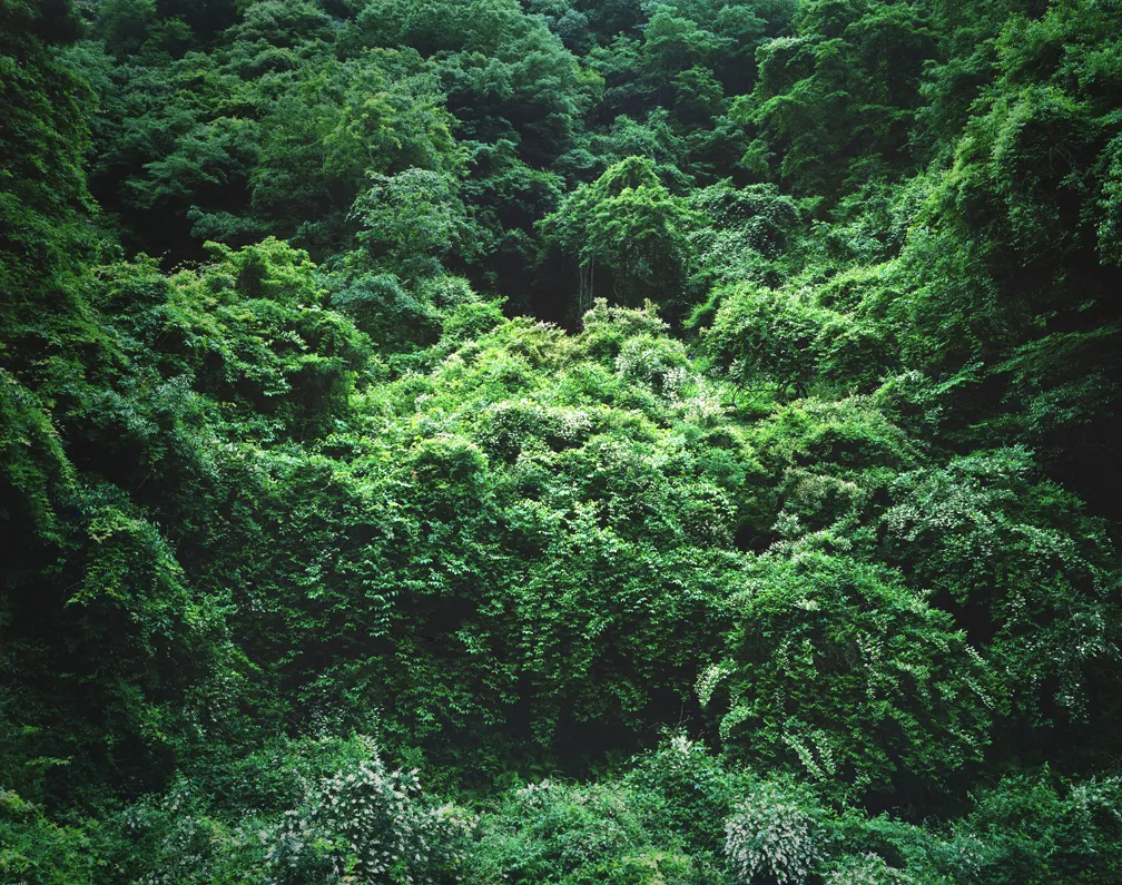 Illuminating Earth 080, 2019