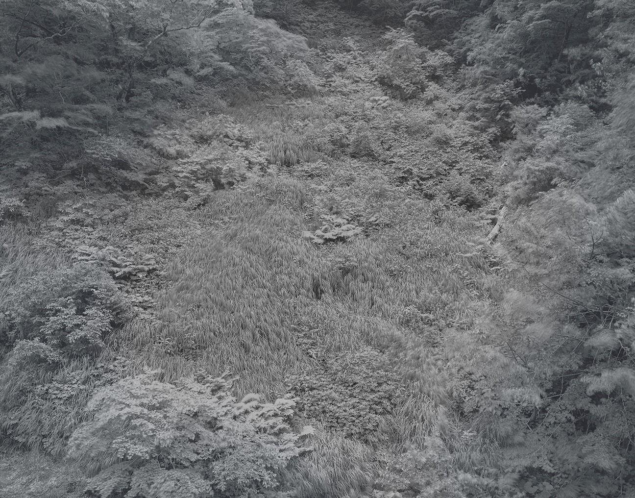 lluminating Earth 132 C9 April 30, 2020, 2020