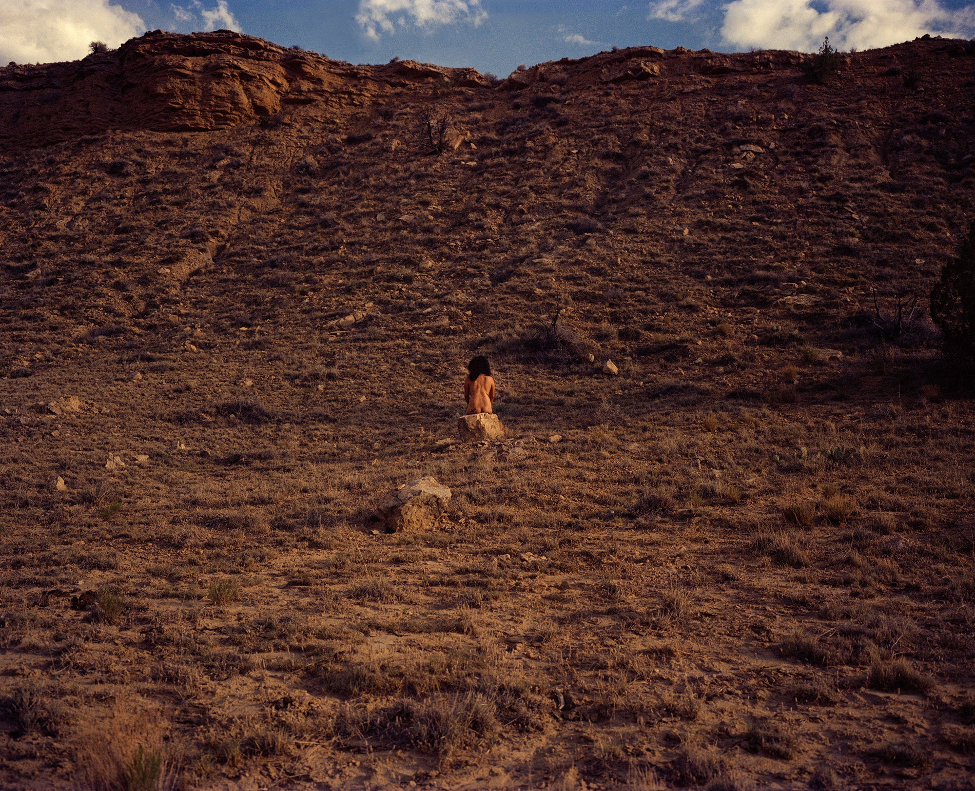 Karen Miranda Rivadeneira, Ollin Mecatl, 2019