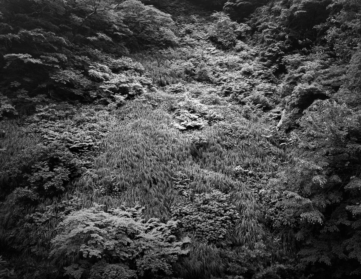 Illuminating Earth 148, 2019