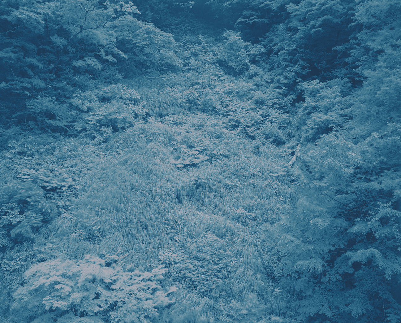 Illuminating Earth 138 - C26 May 23, 2020, 2020