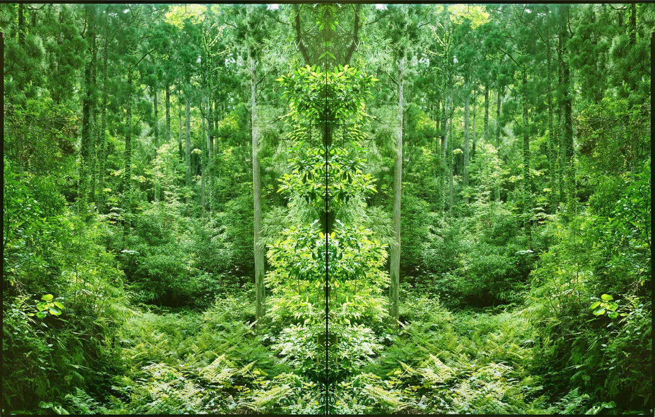 Illuminating Earth 017, 2019