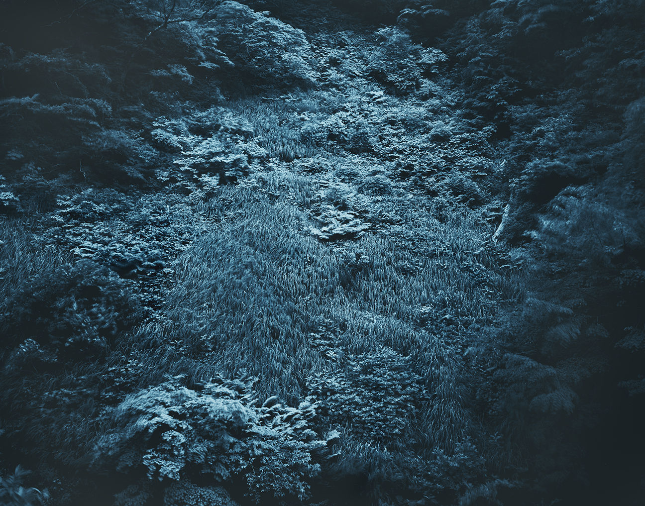 Illuminating Earth 129 - C1 April 28, 2020, 2020