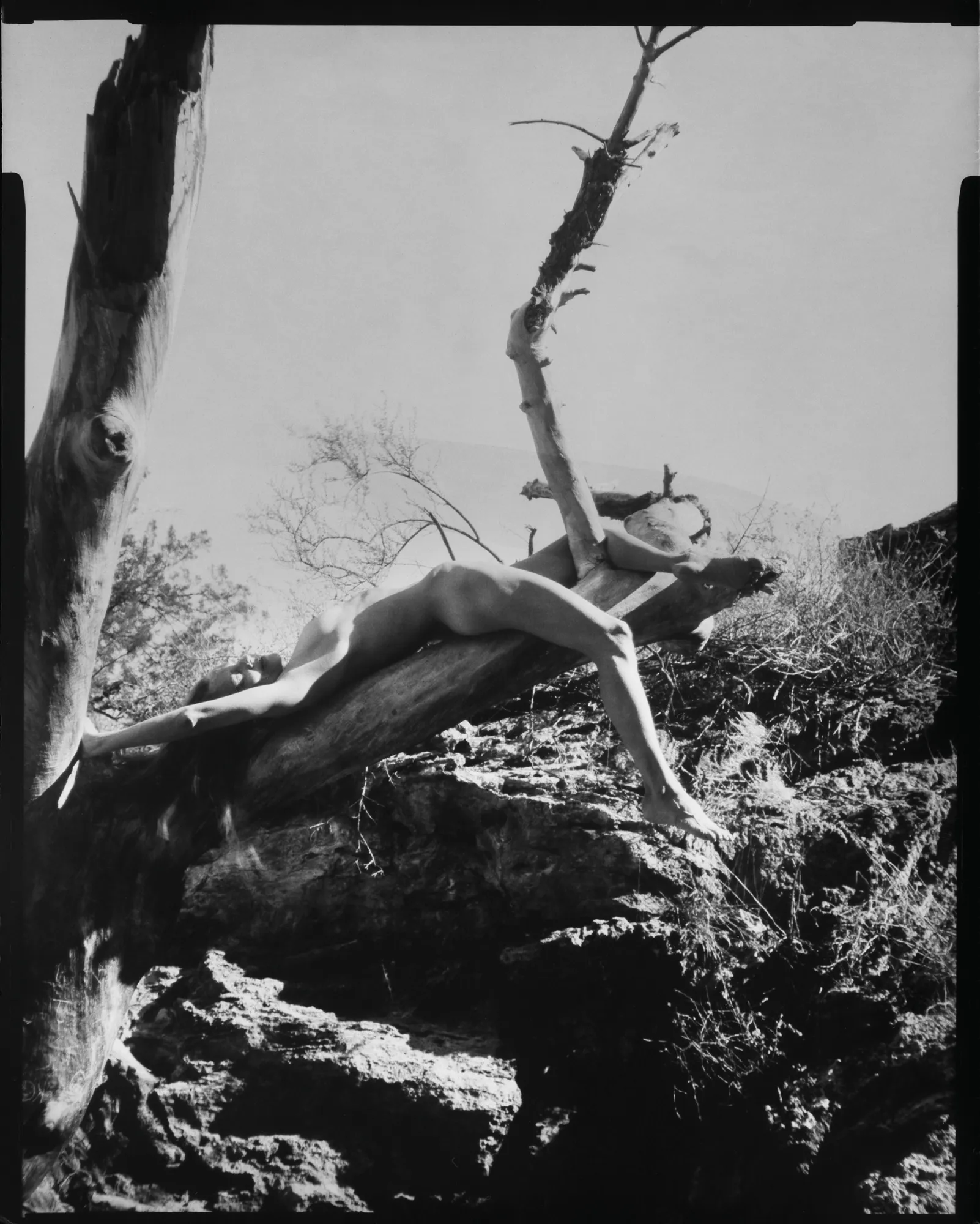 Karen Miranda Rivadeneira, White Calf Woman, 2019