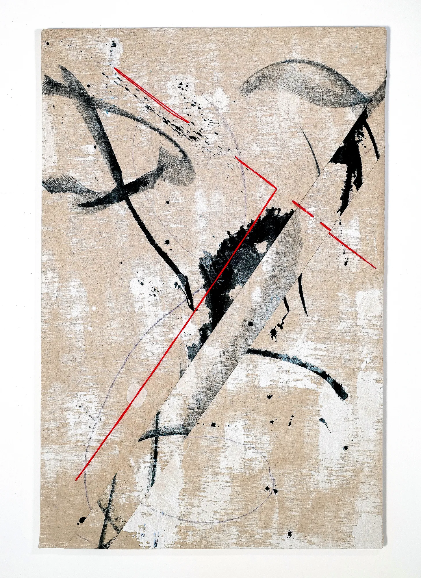 Annina Roescheisen, The Crimson N4, 2024