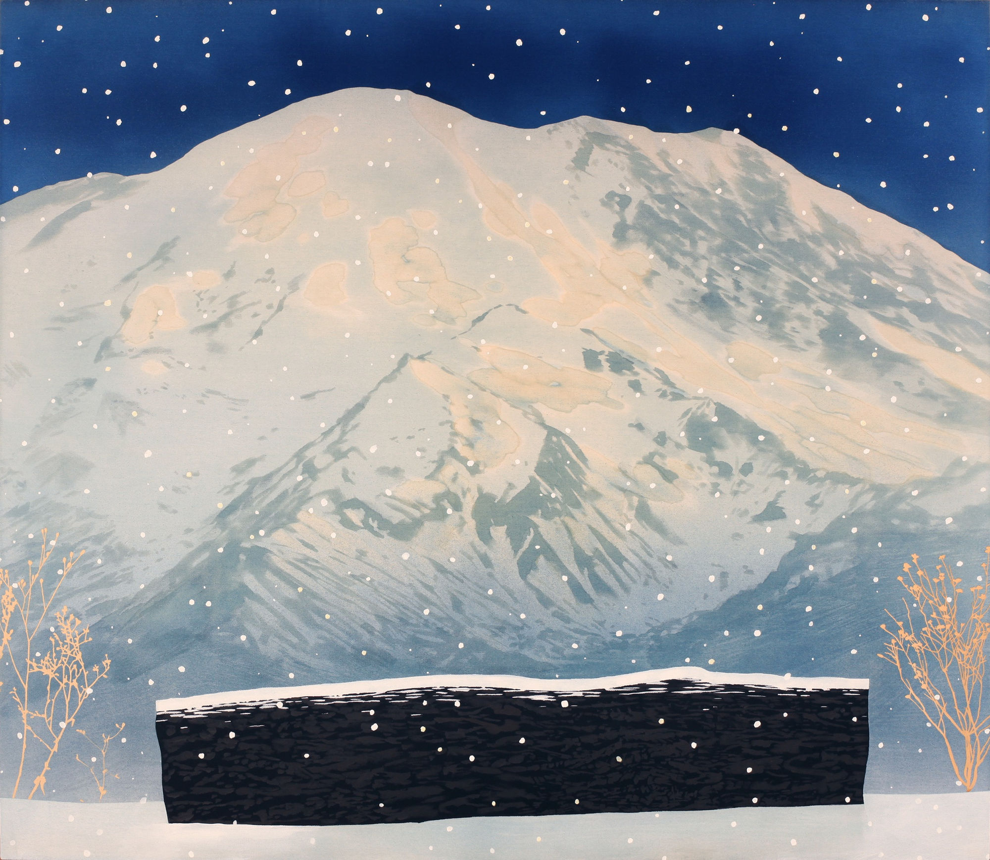 Casey Roberts, Mountain View with Charred Log