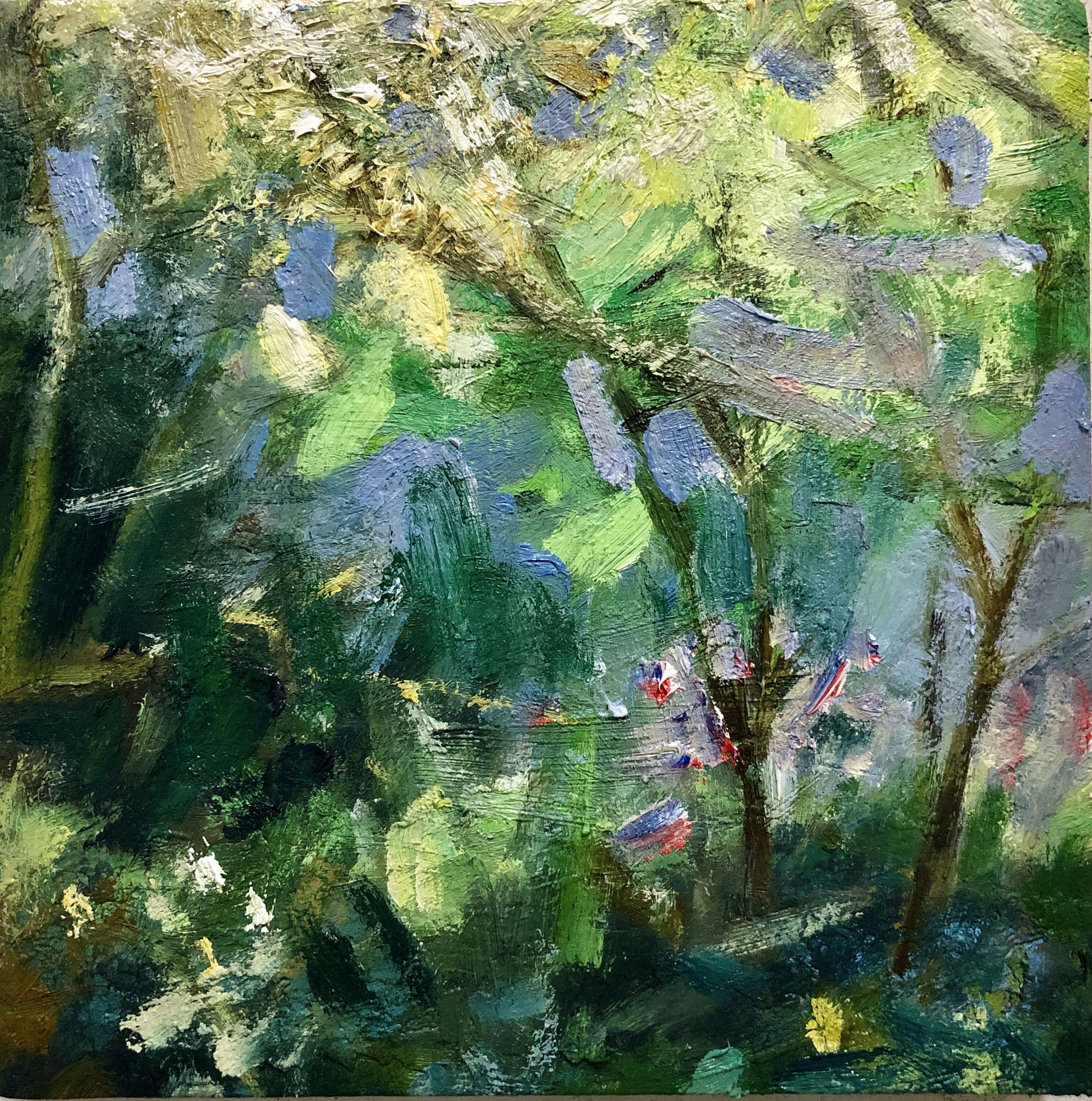 Linda Davidson, S 55