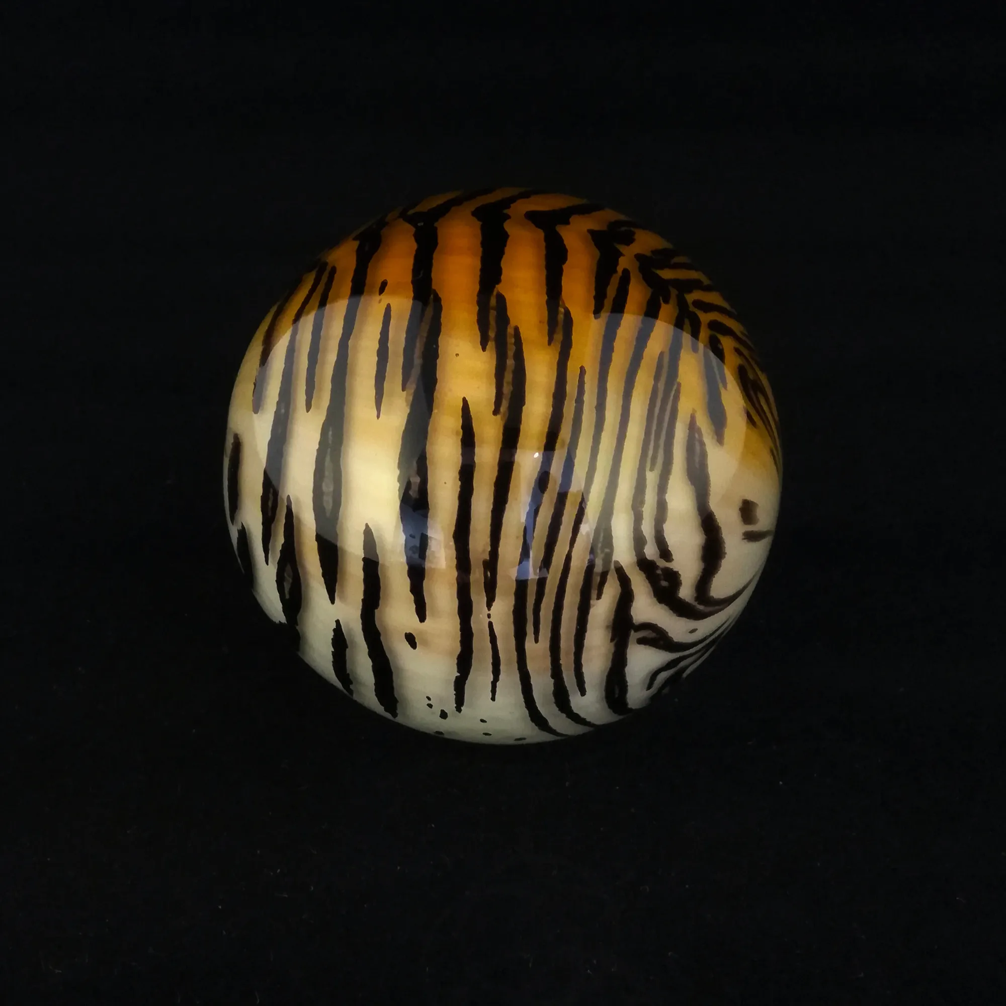 Mark Matthews, Bengal Tiger