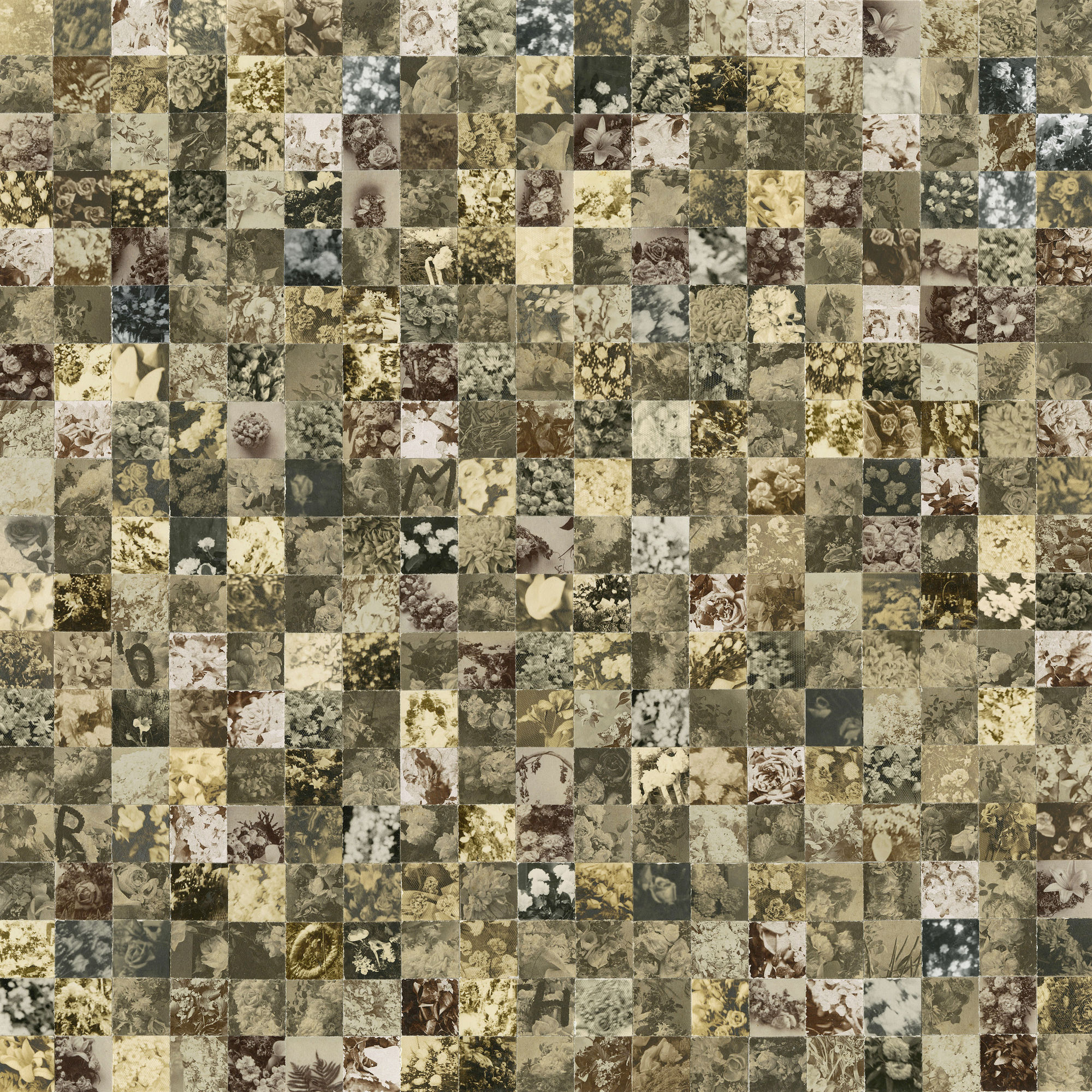 Greg Sand, Chronicle: Grief