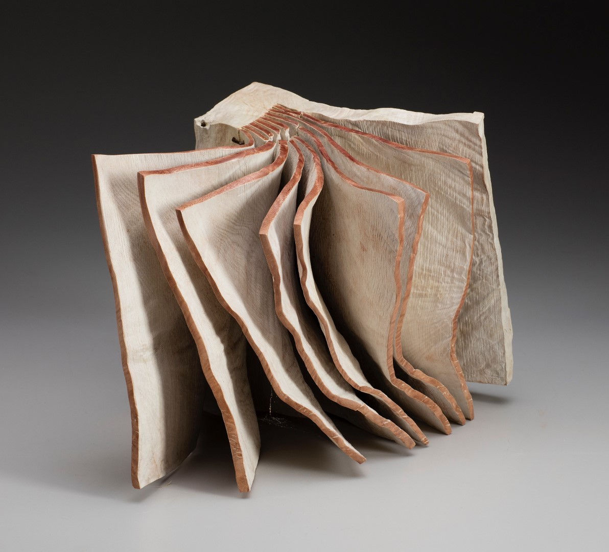 Christian Burchard, Exposed