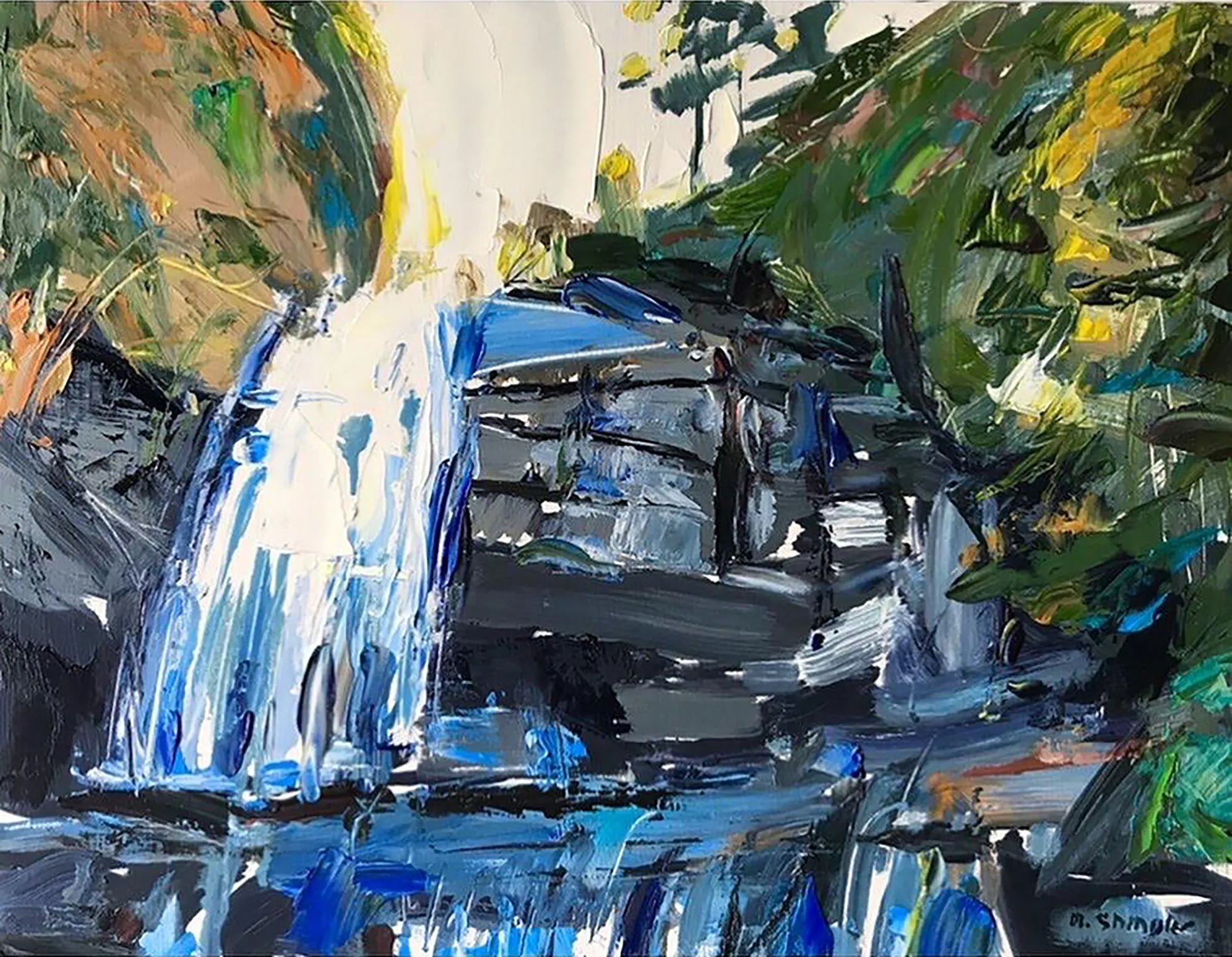 David Shingler, Greenland Creek Falls. NC