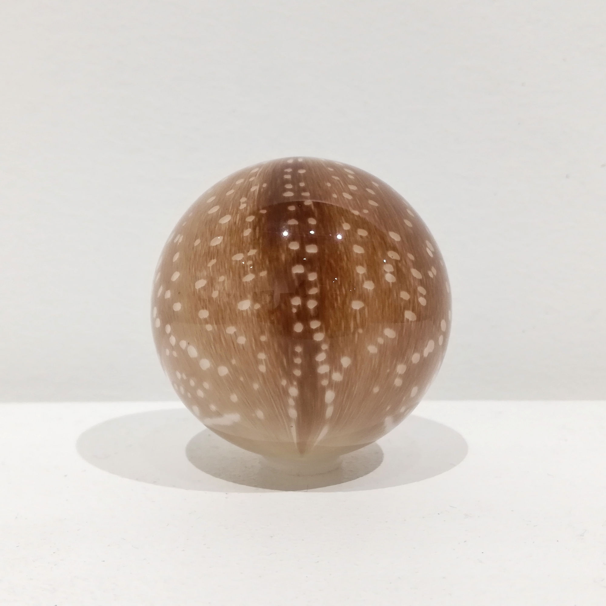 Mark Matthews, Axis Deer