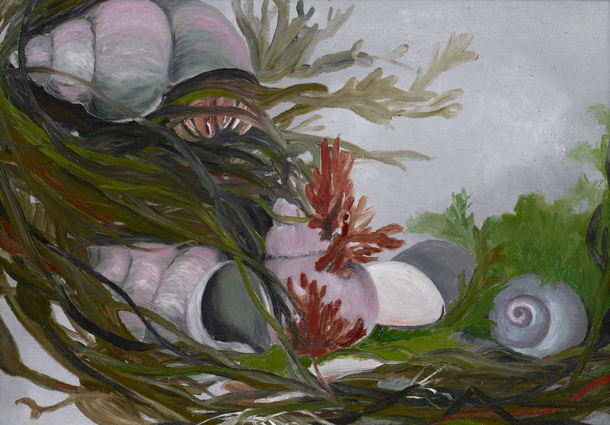 Ida O'Keeffe, Sea-Shells, 1927