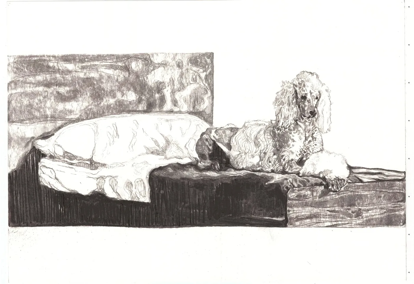 Maya Zack Poddle Bed mine de plomb sur papier 41 x 58,8 cm