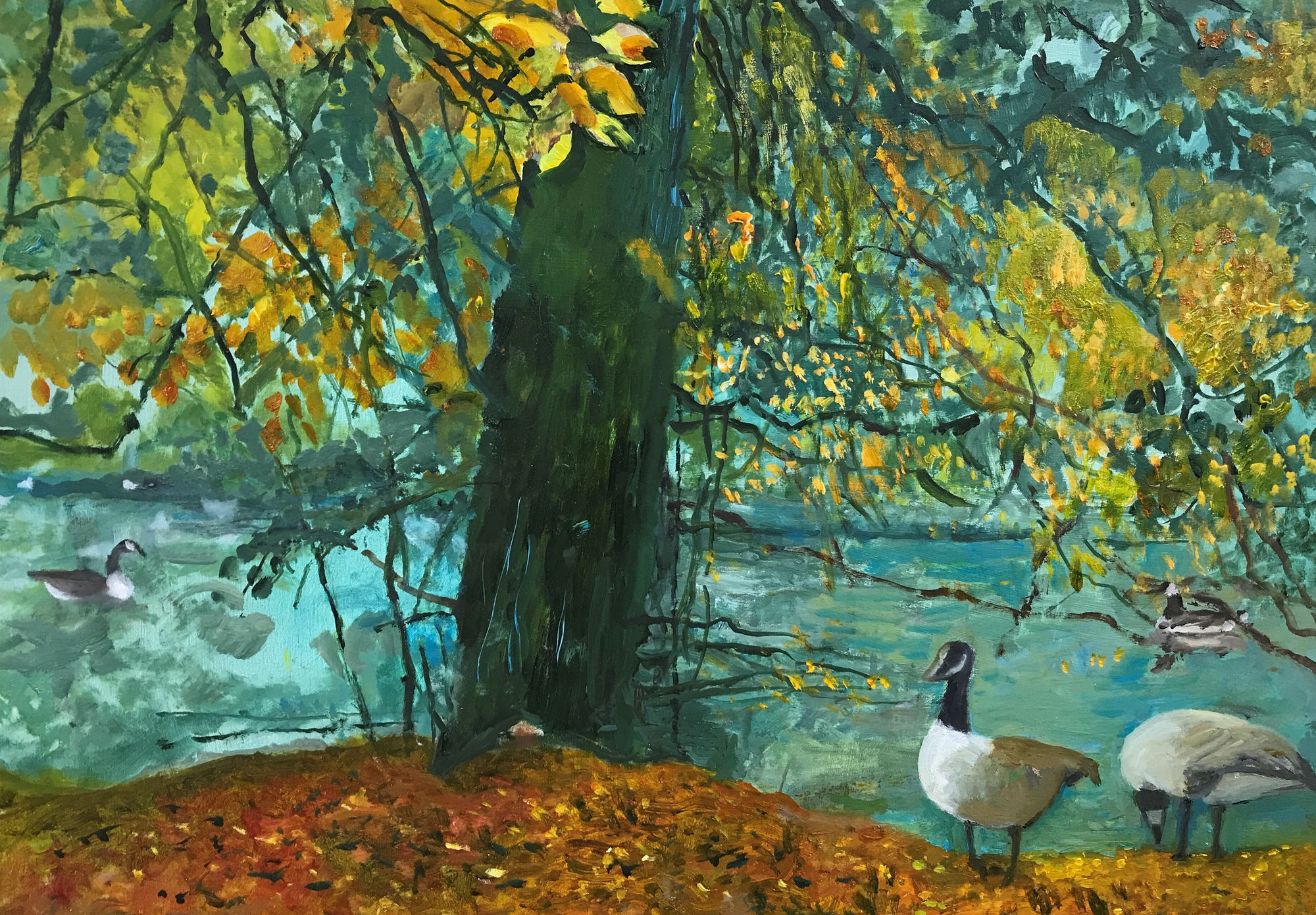 June Berry, Geese by the Lake