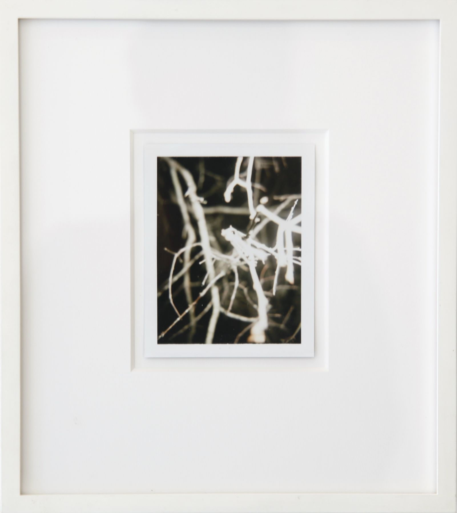 Robert Beck, Untitled (Old Wharf Road, South Wellfleet, Mass, 8/28/98), 1998