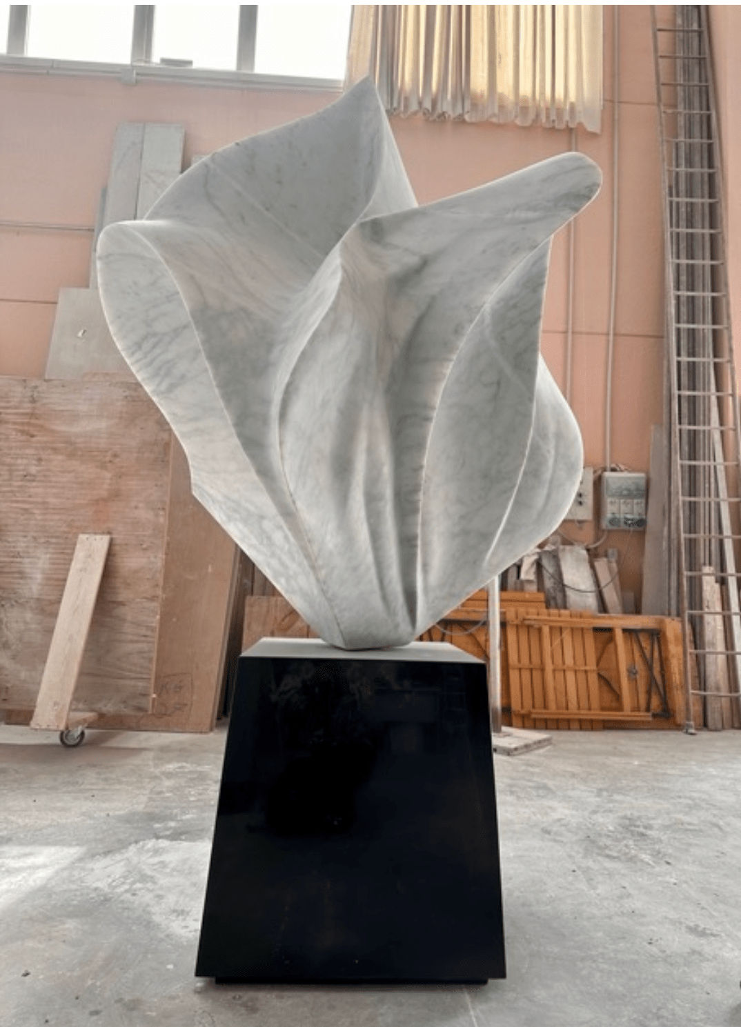 Gustavo Vélez, Fiore IV, 2022