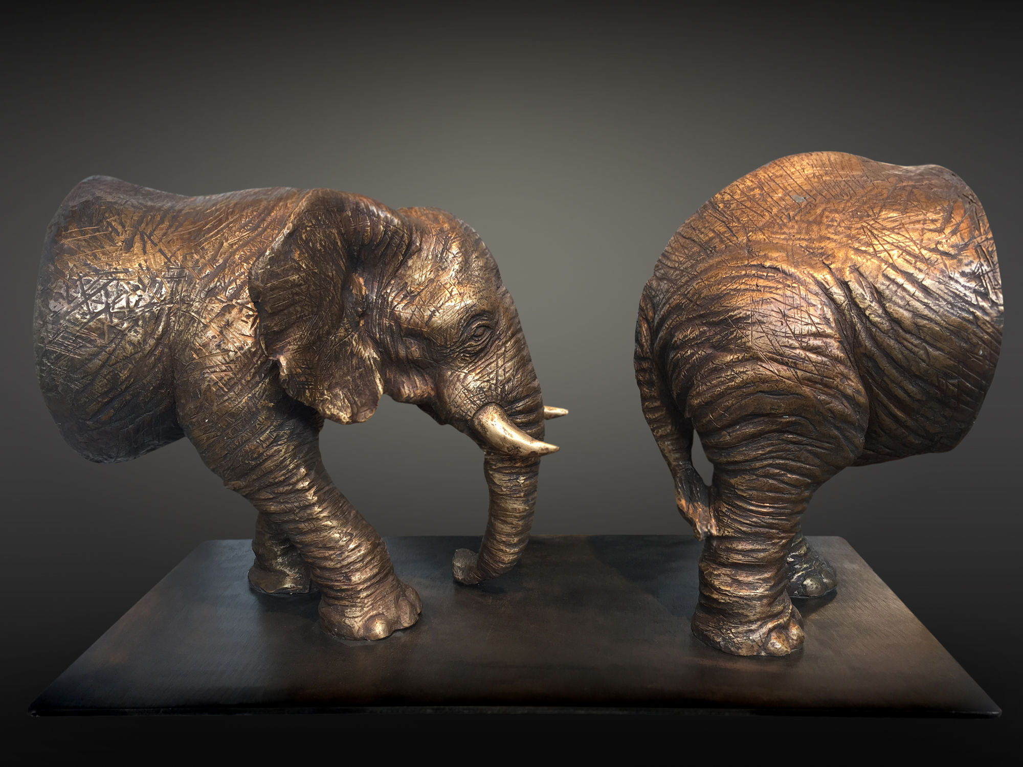 Stefano Bombardieri, Passaggio Elefanti, 2009