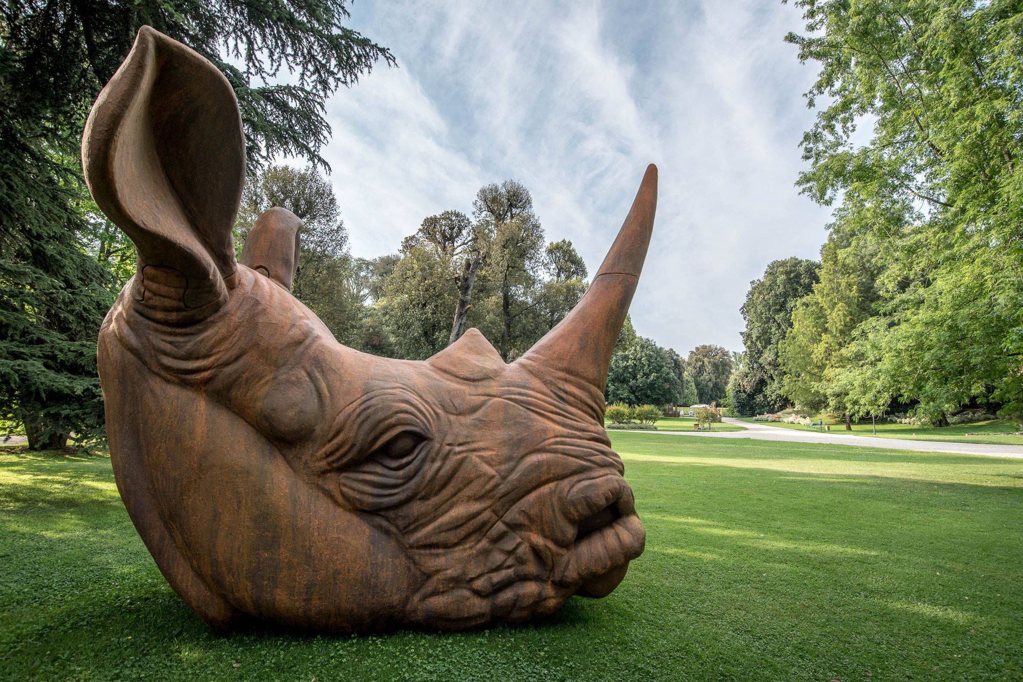 Stefano Bombardieri, Testa Rinoceronte, 2018