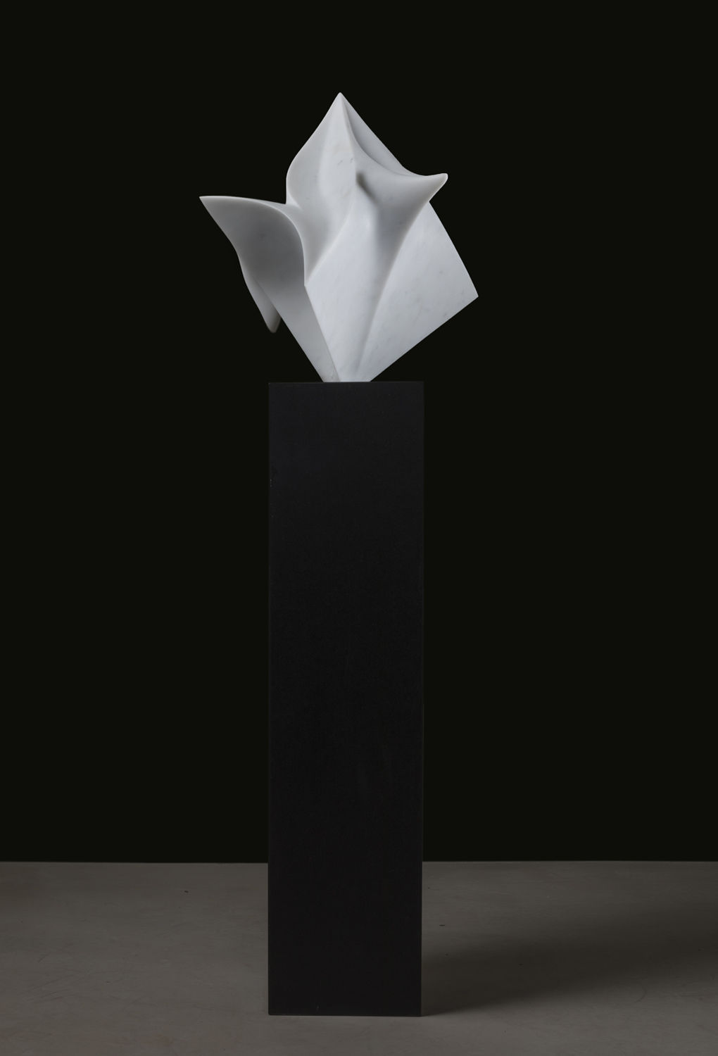 Gustavo Vélez, Hipercúbicos III, 2020