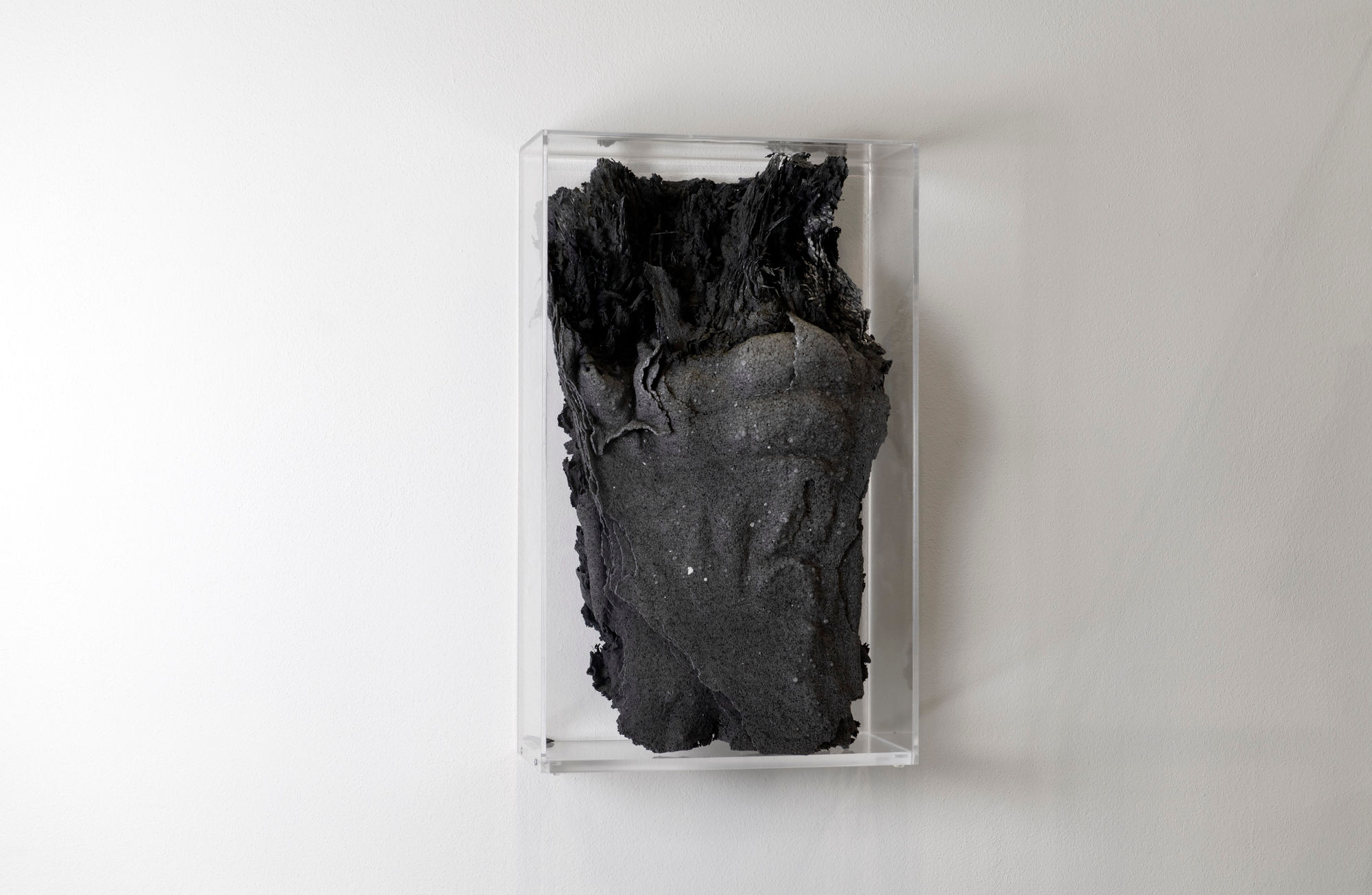 Stefano Bombardieri, Tutto Va a Fuoco, 2020