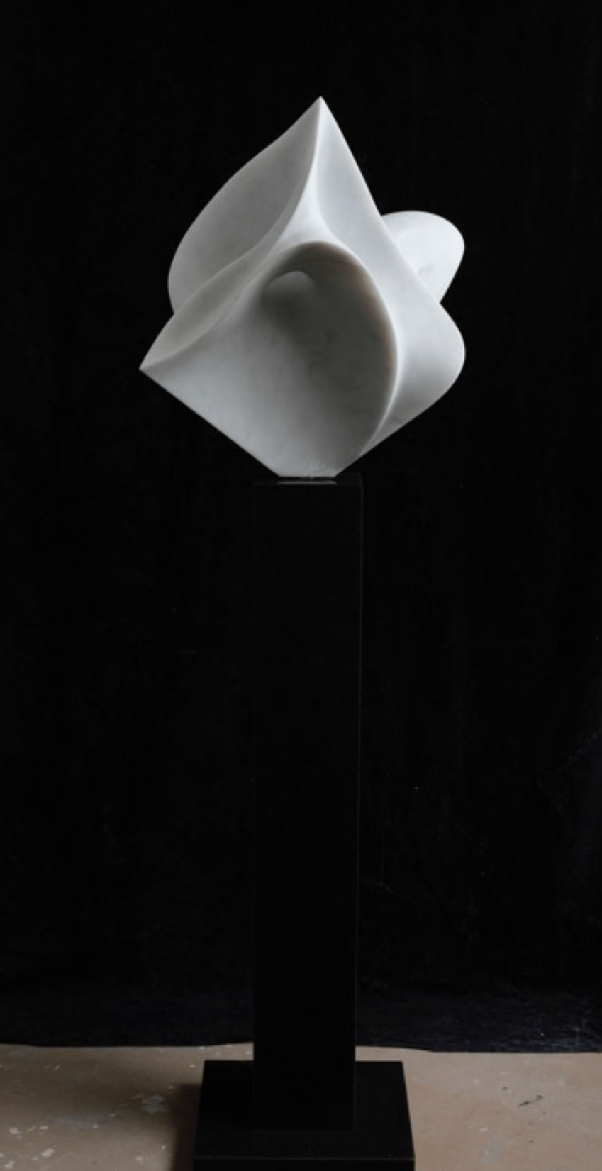 Gustavo Vélez, Fiore IV, 2022