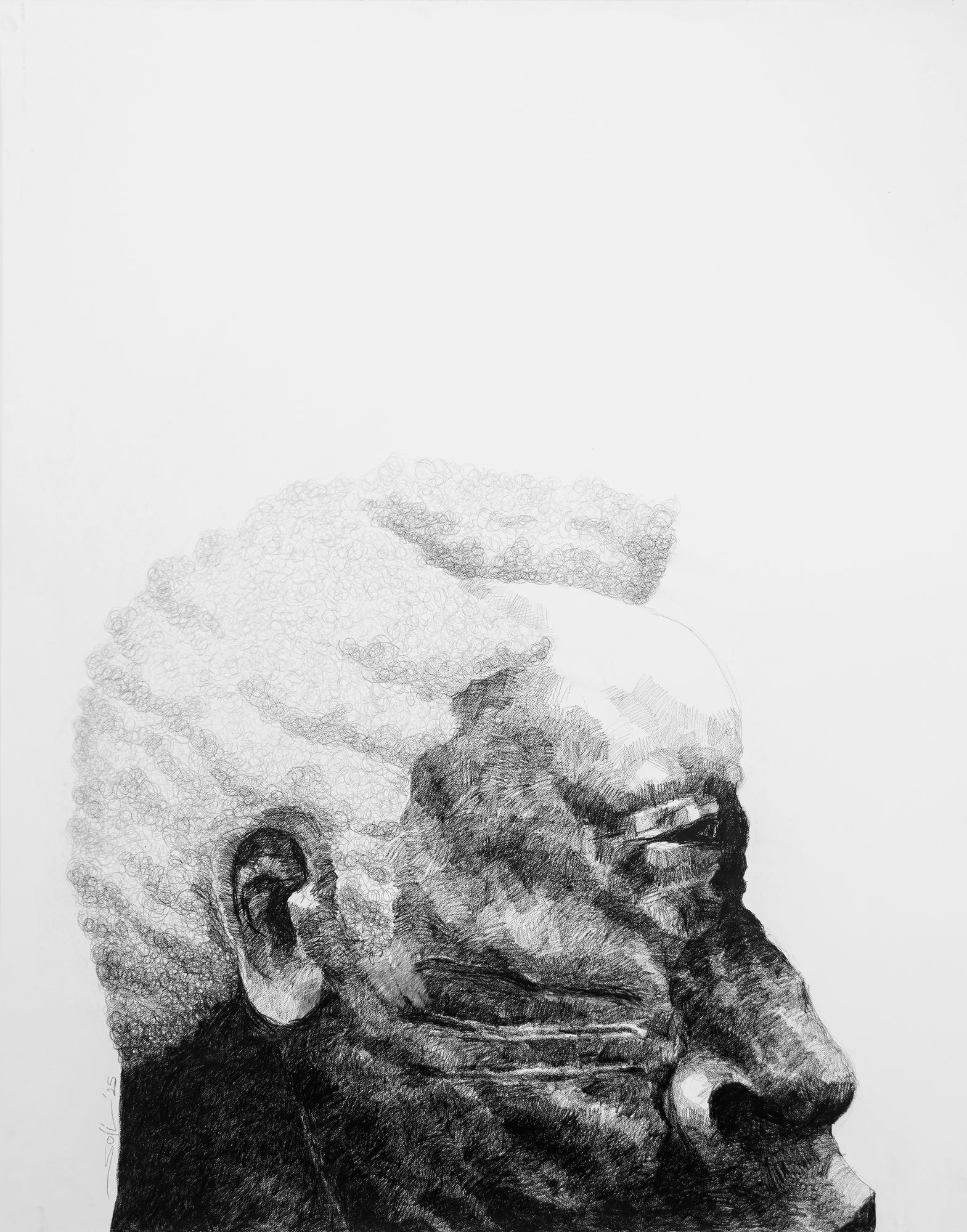 Soji Adesina, Cicatrix, 2025